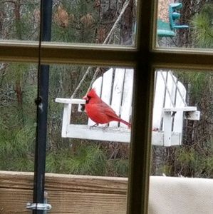 Meet your Posher, Tanya